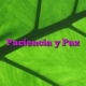 Paciencia y Paz