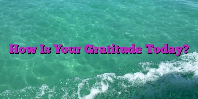 How Is Your Gratitude Today?