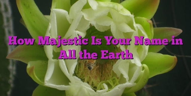 How Majestic Is Your Name in All the Earth