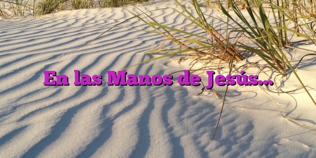 En las Manos de Jesús…