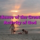 Evidence of the Creative Activity of God