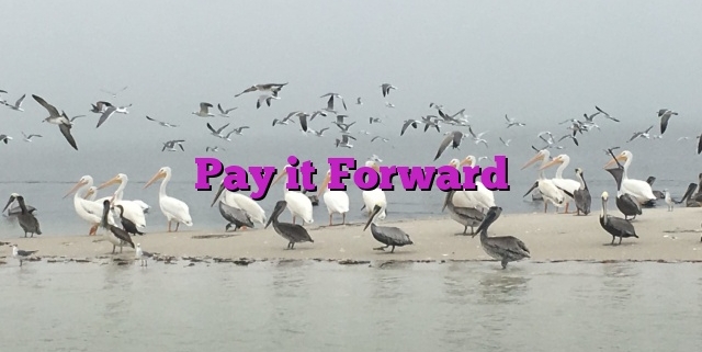 Pay it Forward