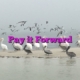 Pay it Forward