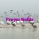 Prayer Quilts