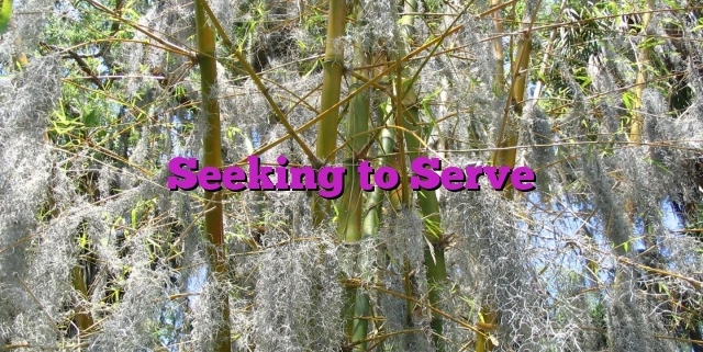 Seeking to Serve