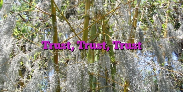 Trust, Trust, Trust