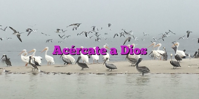 Acércate a Dios