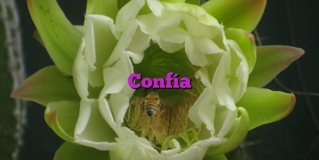 Confía