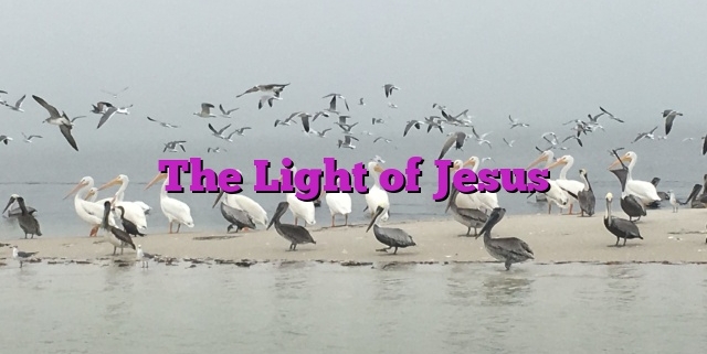 The Light of Jesus