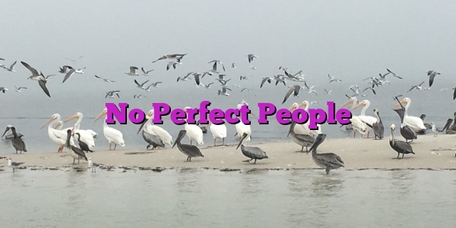 No Perfect People