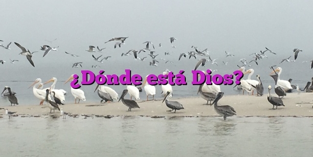 ¿Dónde está Dios?