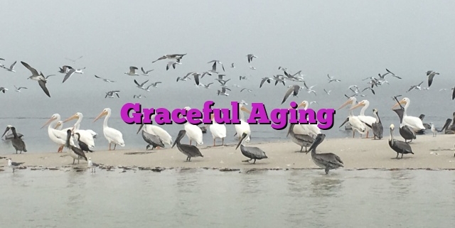 Graceful Aging