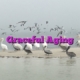 Graceful Aging