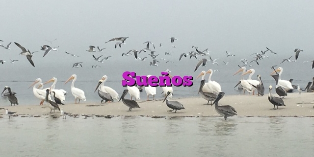 Sueños