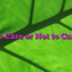 To Care or Not to Care