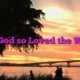 For God so Loved the World