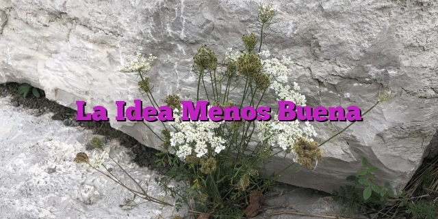 La Idea Menos Buena