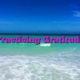 Practicing Gratitude