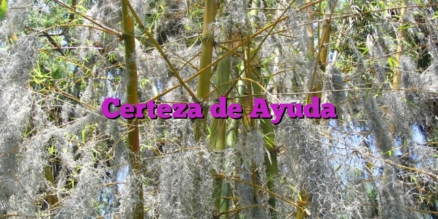 Certeza de Ayuda