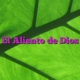 El Aliento de Dios