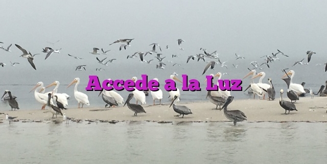 Accede a la Luz