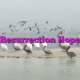 Resurrection Hope