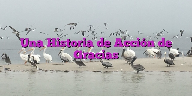 Una Historia de Acción de Gracias