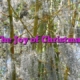 The Joy of Christmas