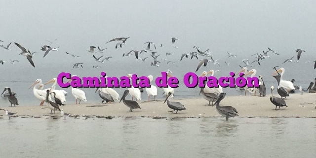 Caminata de Oración