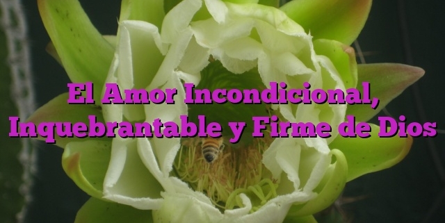 El Amor Incondicional, Inquebrantable y Firme de Dios