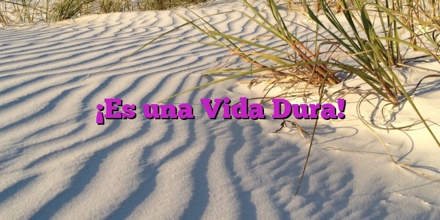 ¡Es una Vida Dura!