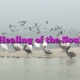 Healing of the Soul