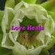 Love Heals