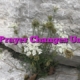 Prayer Changes Us