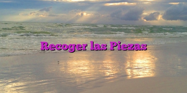 Recoger las Piezas