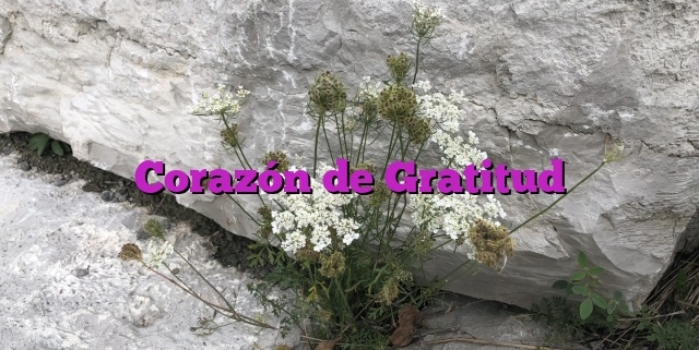 Corazón de Gratitud