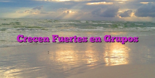 Crecen Fuertes en Grupos