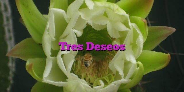 Tres Deseos