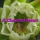 A Cheerful Heart