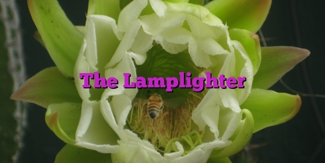 The Lamplighter