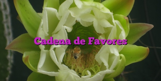 Cadena de Favores