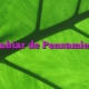 Cambiar de Pensamiento