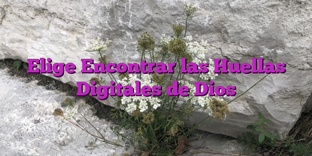 Elige Encontrar las Huellas Digitales de Dios