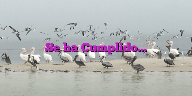 Se ha Cumplido…