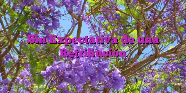 Sin Expectativa de una Retribución