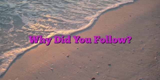 Why Did You Follow?