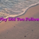 Why Did You Follow?