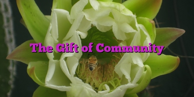 The Gift of Community