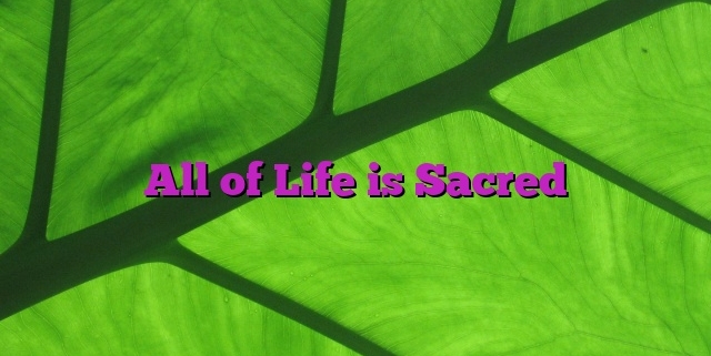 All of Life is Sacred