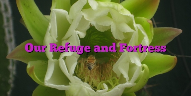 Our Refuge and Fortress